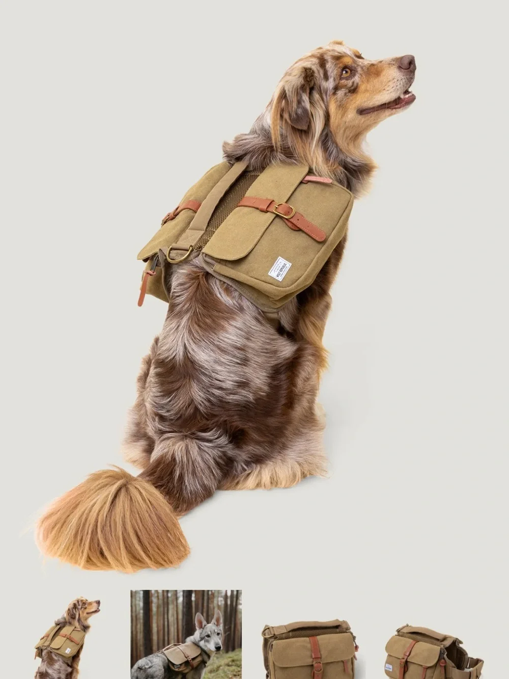 Wolf Republic Ranger Backpack for Dogs
